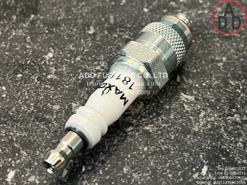 Maxon 18110(4)